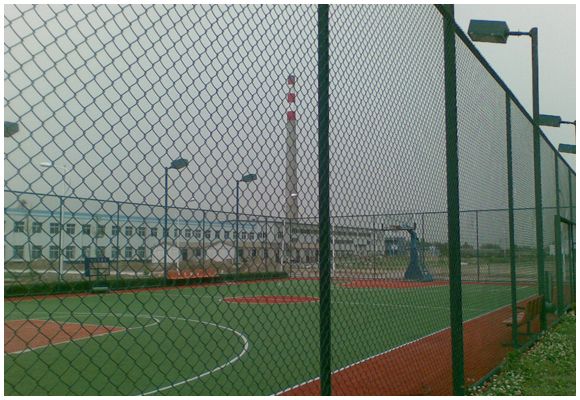 球場(chǎng)護(hù)欄網(wǎng)